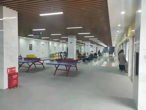 滁州大型電子廠環(huán)境與工價(jià)現(xiàn)狀解析