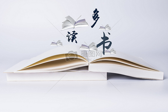 知識之海 探索閱讀與正版圖片的魅力